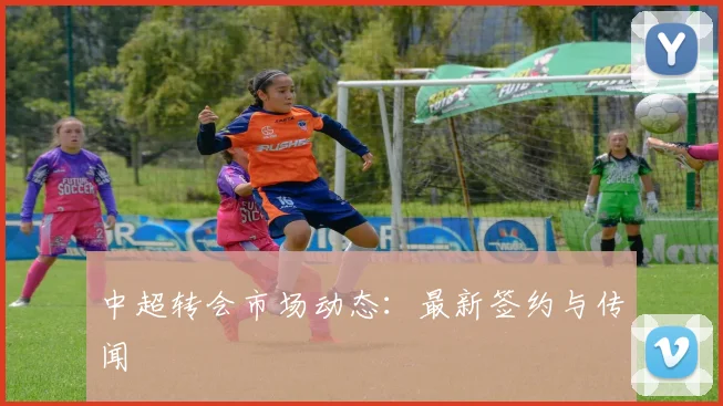 中超转会市场动态:最新签约与传闻