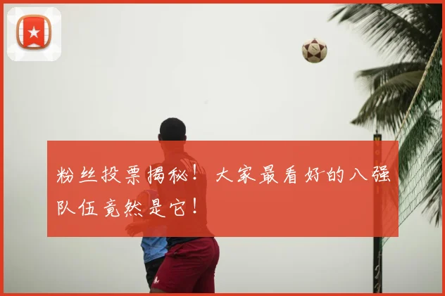粉丝投票揭秘!大家最看好的八强队伍竟然是它!